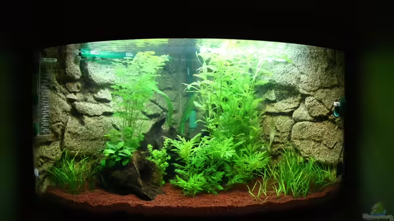 aktueller Stand (31.07.2008) von AkGuru (1)