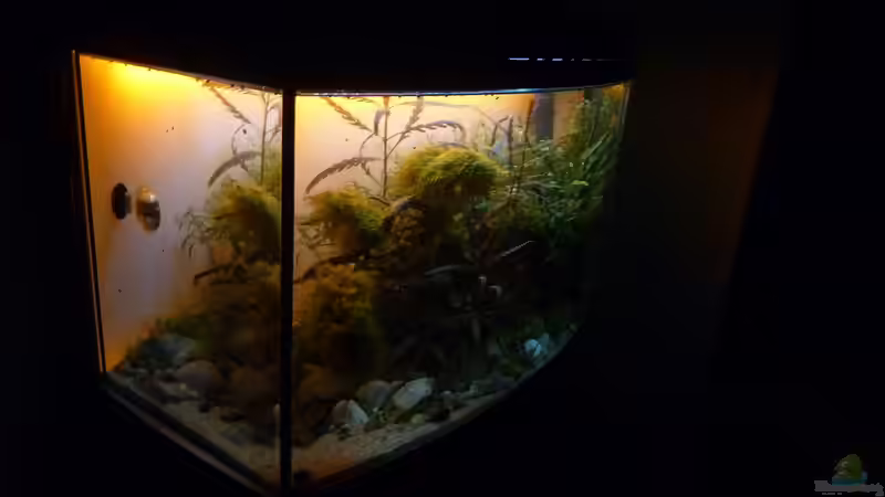 Aktueller Stand bei Sonnenuntergang. von Martin W. (2)