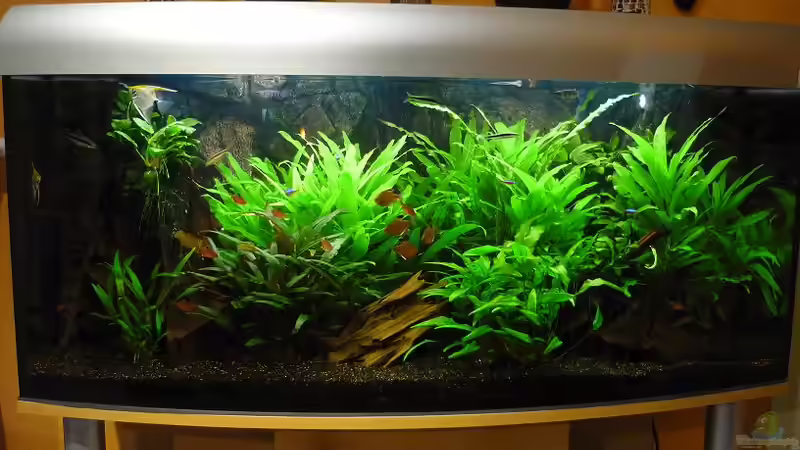 Aktueller Stand vom 03.01.2010 von Red ( Jürgen ) (2)