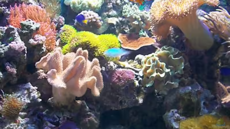 aktueller Stand von Christian Schröter (23)