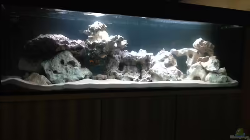 Aktueller Stand von DDT (6)