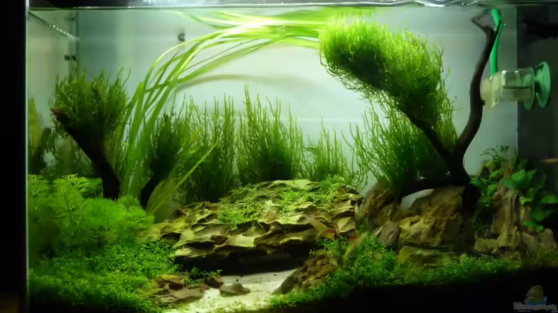 Aktueller Stand von Martin W. (1)