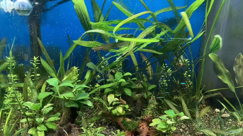 Aktueller Zwischenstand  von GJK (2)