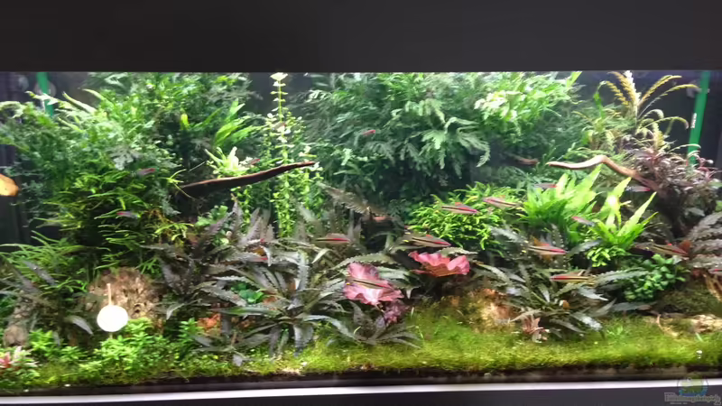 Aktuelleres Bild von Olle696 (7)