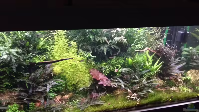 Aktuelleres Bild von Olle696 (8)