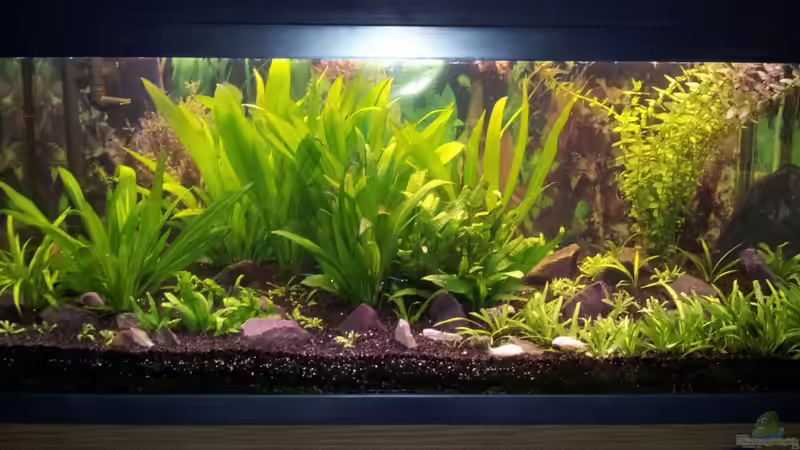 Aktuelles 02.05.13 von Krolig (1)