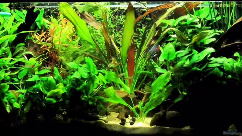 Aktuelles Bild  von Frank Rothhaupt (4)