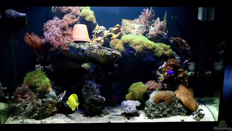 aktuelles bild 23.11.2009