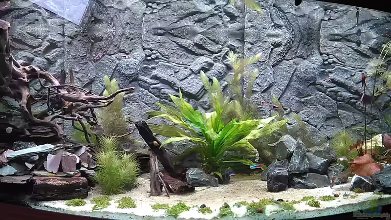 Aktuelles Bild meines Vision 450 von AdrianSoS (1)