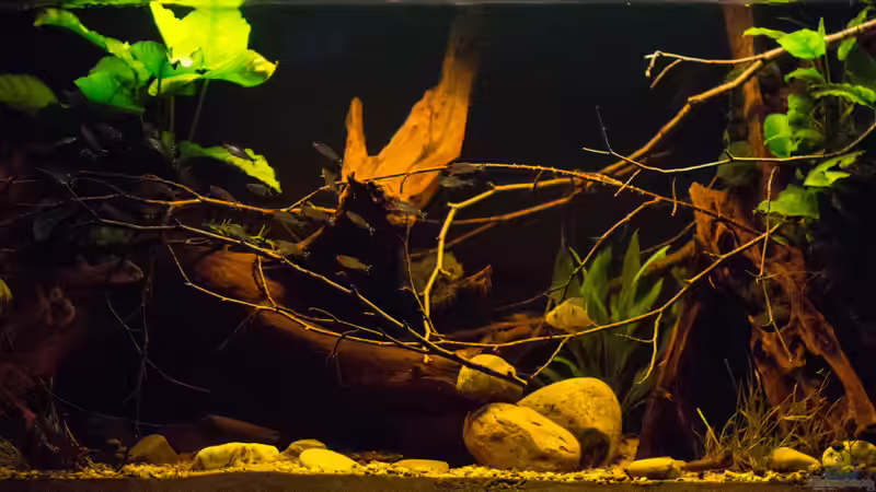 aktuelles Bild Südamerika ..