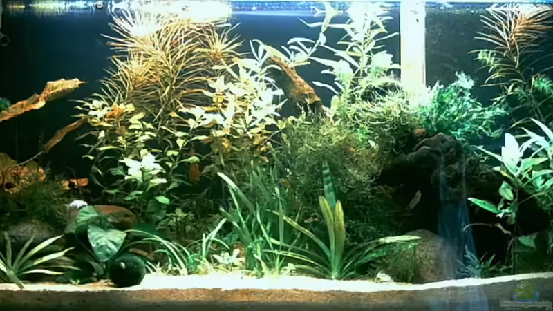 Aktuelles Bild vom 12.4.2006.  