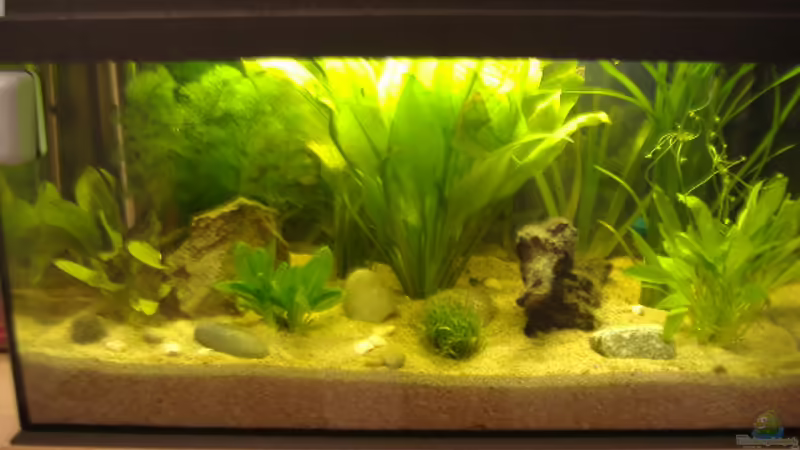 aktuelles Bild von Andreas Lustenberger (1)