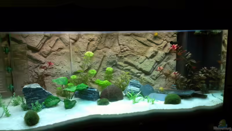 aktuelles Bild von bo3 (1)