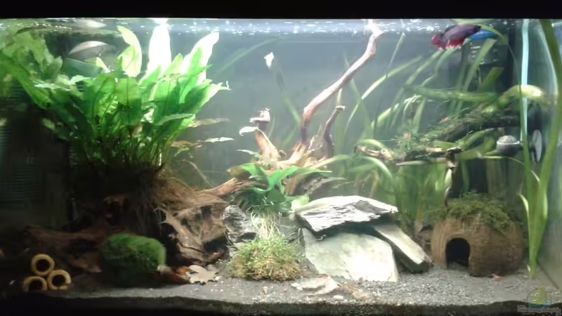 Aktuelles Bild von Jessi & Daniel (1)