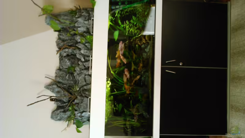 aktuelles bild von phrankdiddie (9)