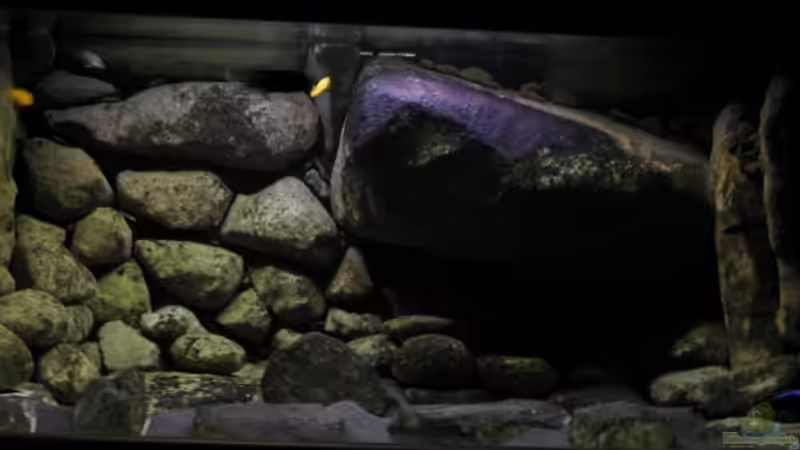 aktuelles bild(12.06.11)