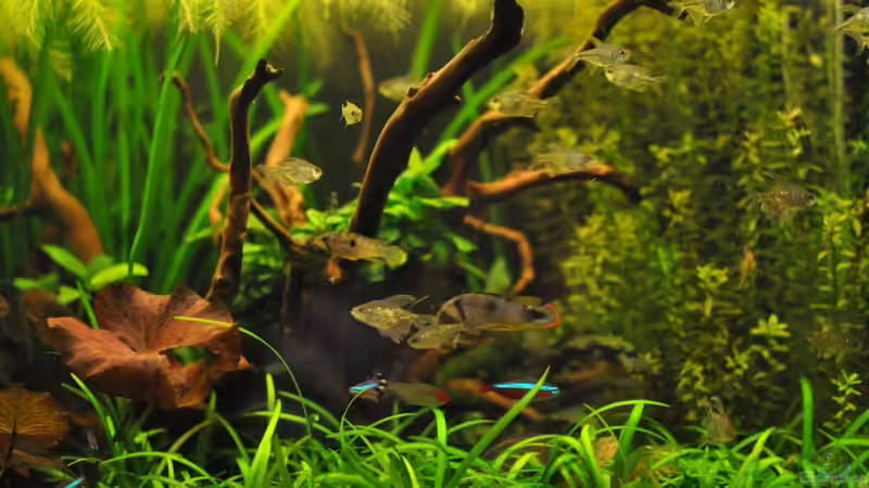 aktuelles Detailfoto von DerHein83 (3)