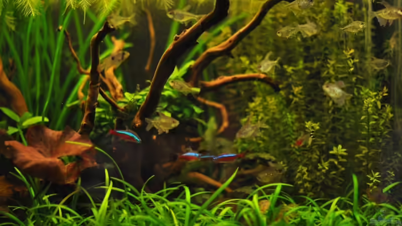 aktuelles Detailfoto von DerHein83 (4)