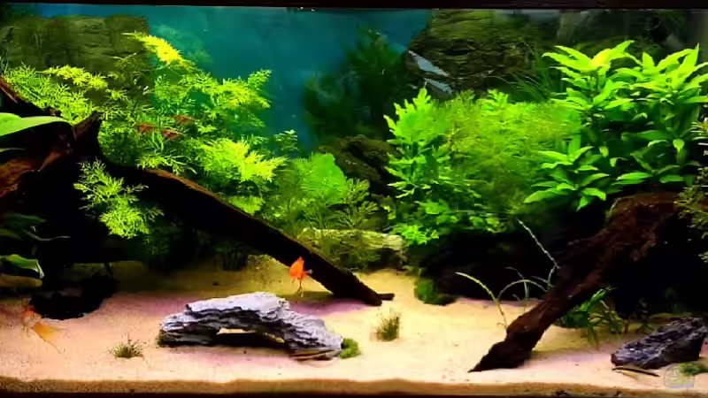 Aktuelles Erscheinungsbild von tobi2201 (1)