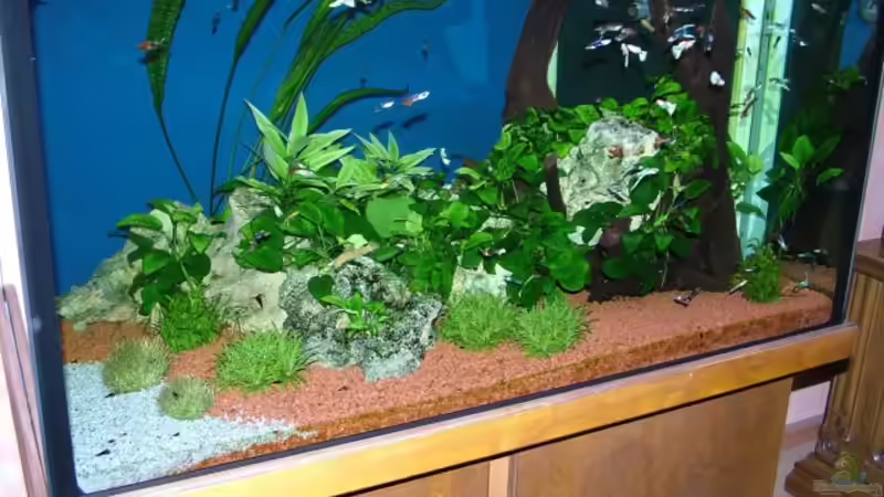 aktuelles foto vom 16.1.07 von Manfred und Heidi Reis (1)