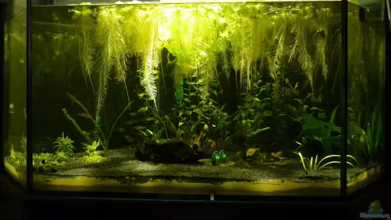 Aktuelles Foto vom 27.11.09