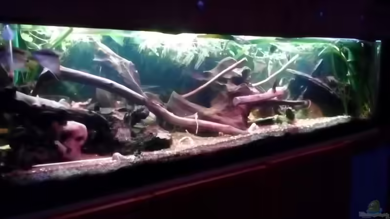 Aktuelles Layout Mai 2016 von Zomic (2)