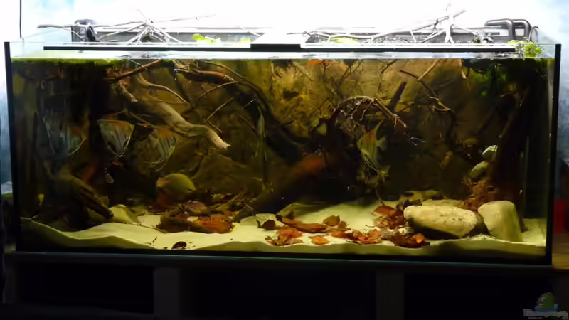 Aktuelles Layout von DerImperator (4)