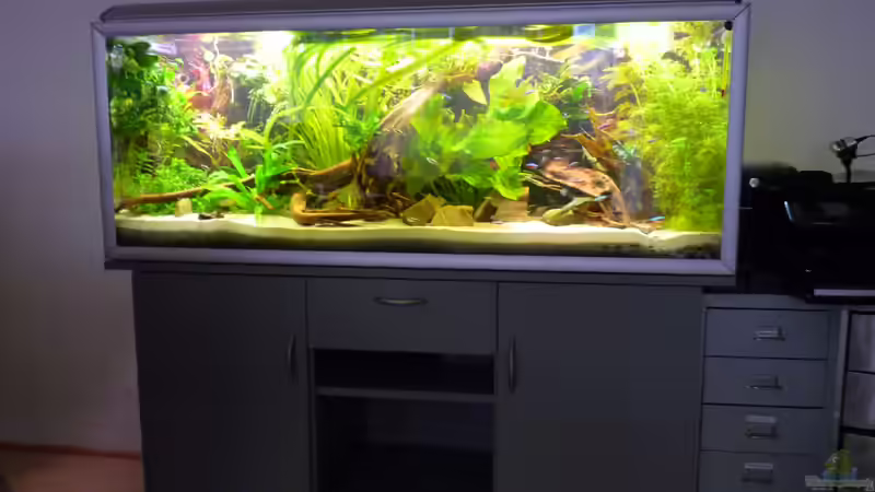 Akva Stabil, Made in Denmark. Unterschrank ebenfalls. von Guzzi-Werner (2)