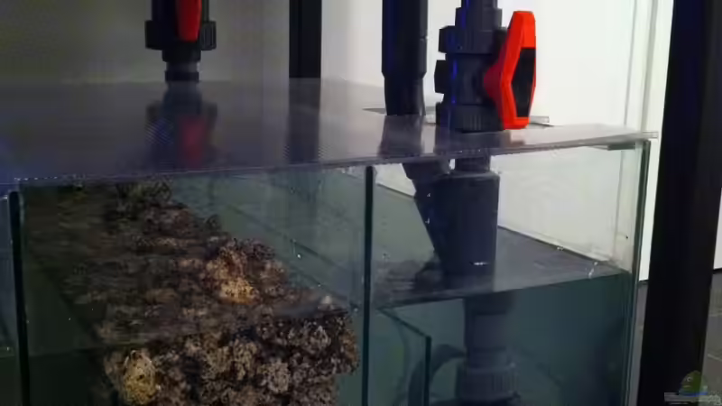 Alfagrog + Kinshi 8000 von Björn (Slavi) (8)