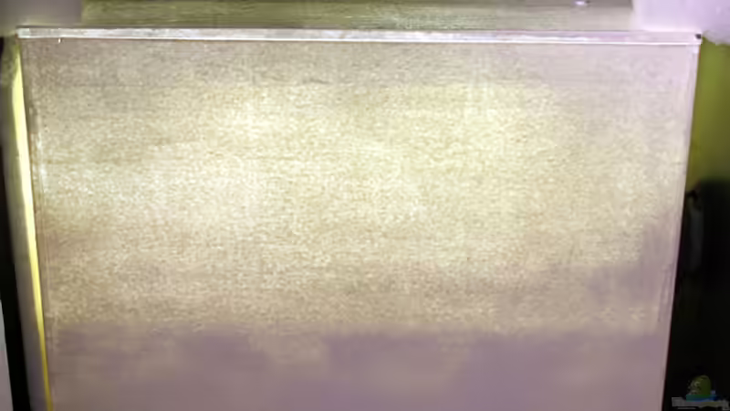 Algenrefugium, Rücklaufsumpf von The_Lizardking (19)