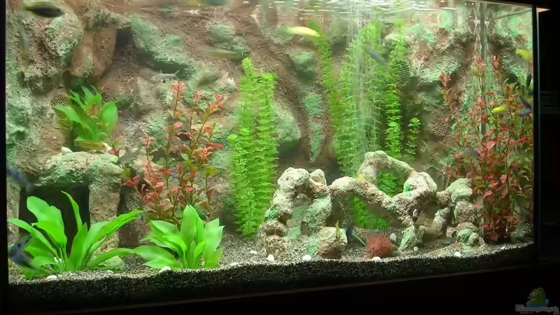 Alle 3x30W Rohre gehen vollgas von Zoltan Bene (2)