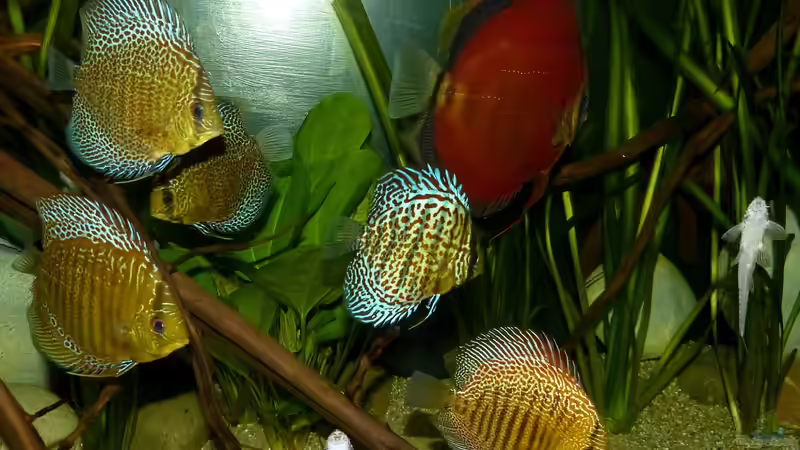 Alle 6 am 20.08.15 von ~Marco~ (65)