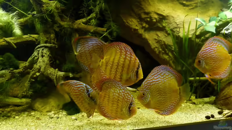 alle 7 am 24.03.14 von ~Marco~ (84)