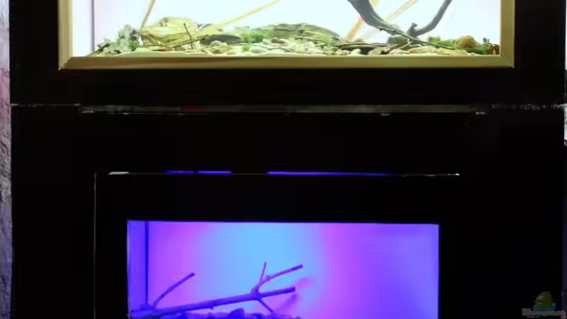 alle beide Sulawesi-Becken, oben Matano Lake von Falk (5)