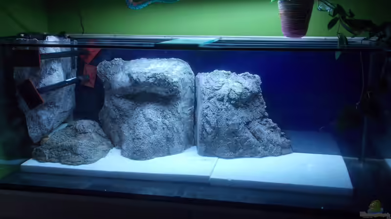 Alle drin ! Links noch mit Stützen von Pierre (4)