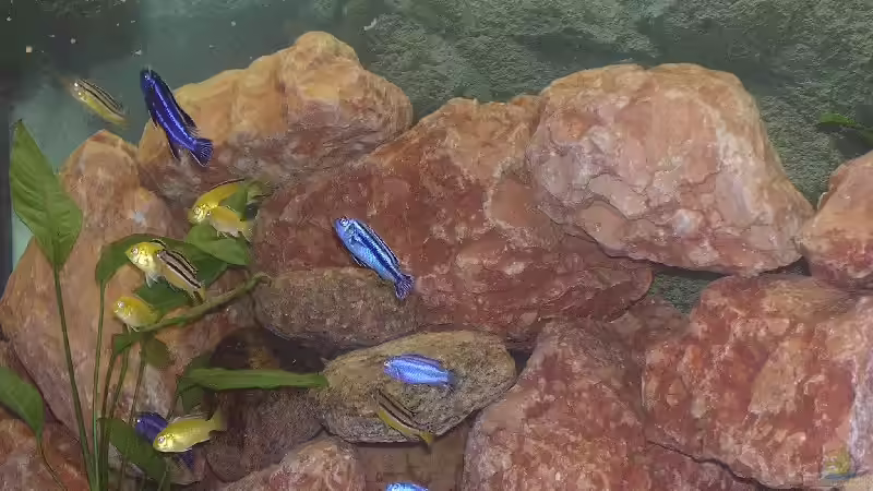 alle erwischt von Karsten Michalski (2)