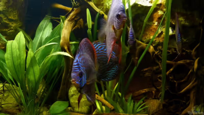 alle fünf 17.12.12 von ~Marco~ (30)