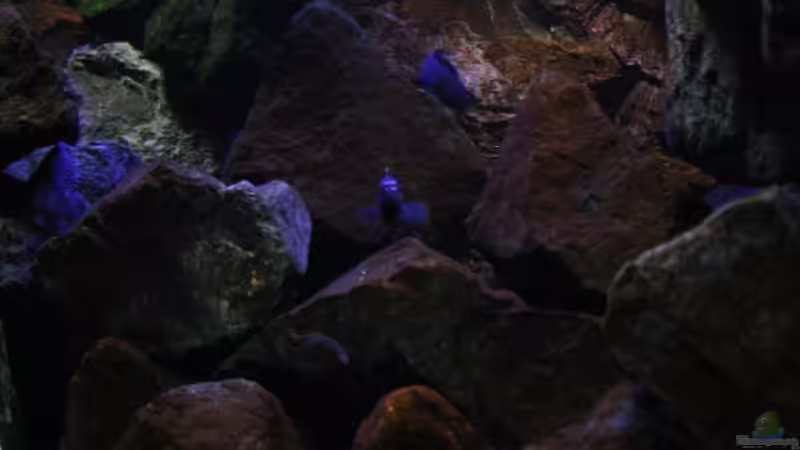 Alle unterwegs ,zwischen Stein und und Stein ! von Florian Bandhauer (13)