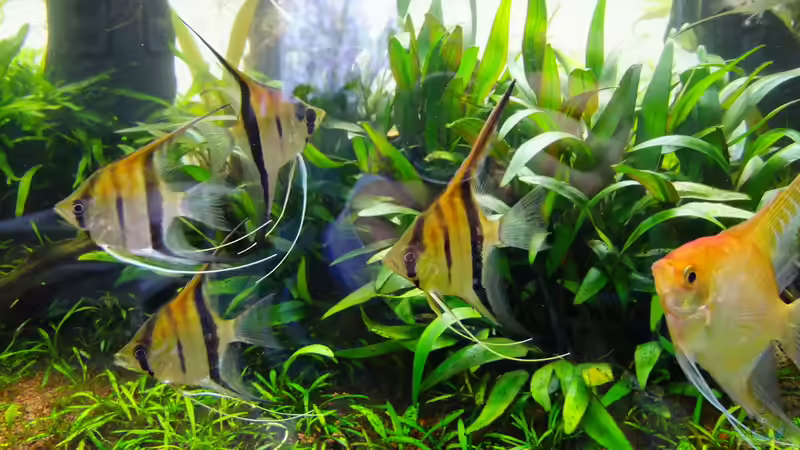 alle vereint von ManiacXL (39)