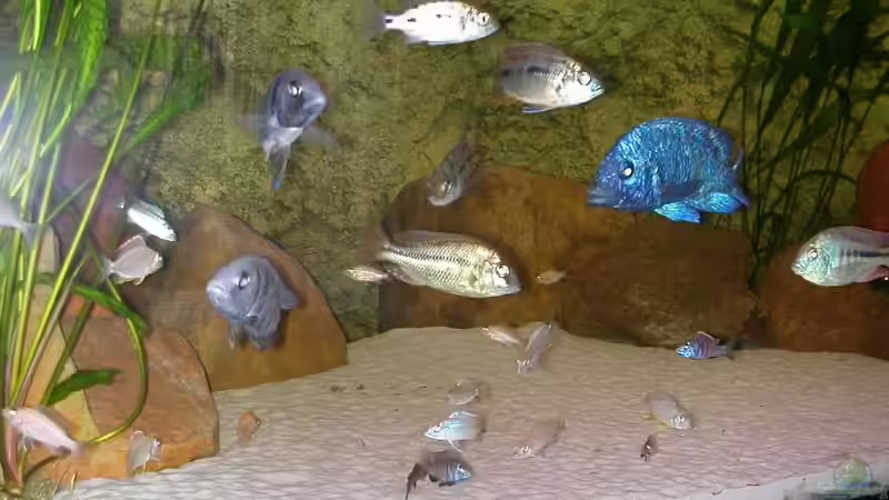 alle von Lars Joergens (10)