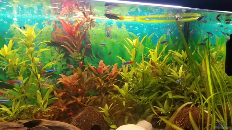 alle von SvenDerGroße (25)