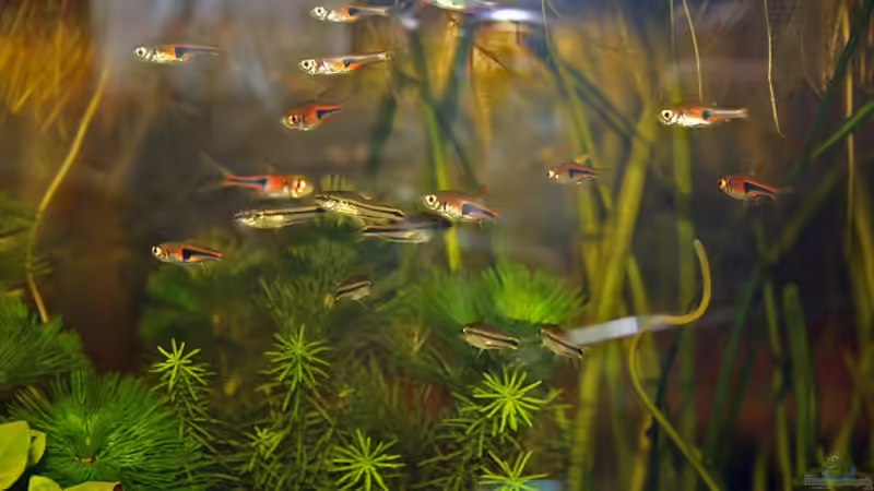 Alle zusammen : ) von Garnelenmami (22)