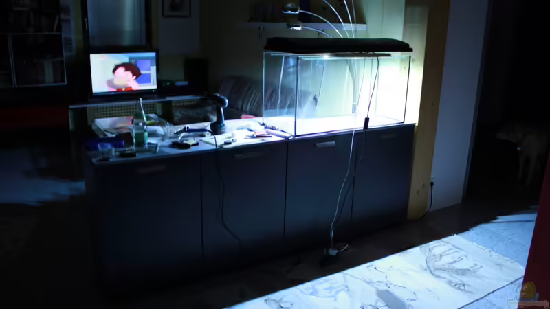 aller Anfang... von kon_nichiwa (1)