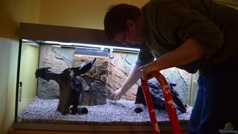 Aller Anfang ist schwer ;-) von Der Küstenjunge (9)