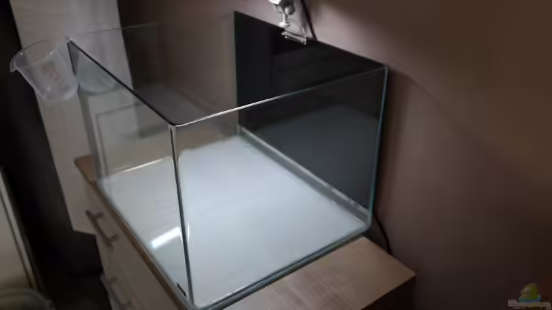 Aller Anfang ist schwer von DatNicky (10)