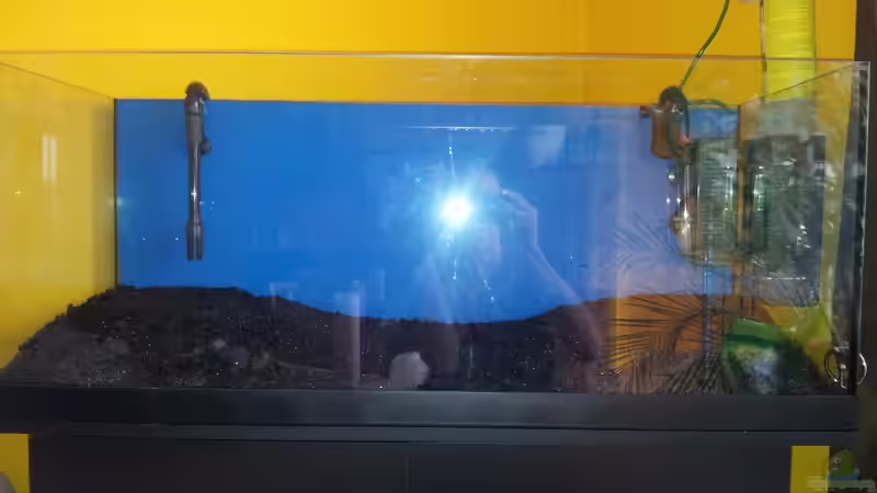 Aller Anfang ist schwer von Kill-Bill (2)