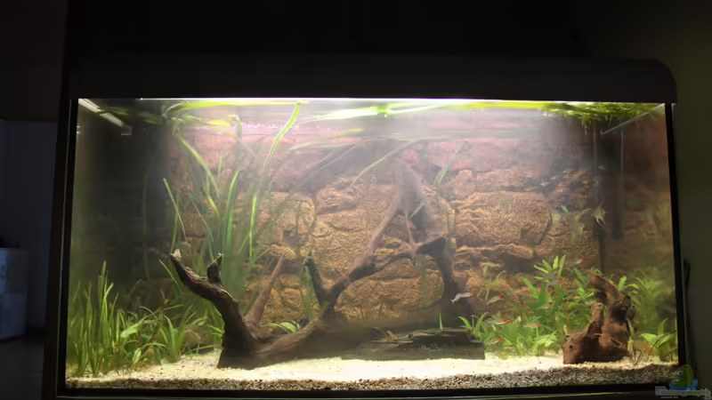 Aller Anfang ist schwer von Maximilian Landrock (1)