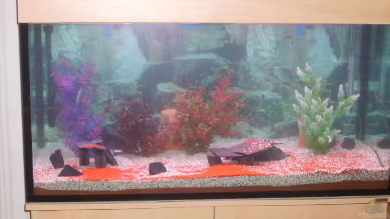 aller Anfang ist schwer von Peter Otto (1)