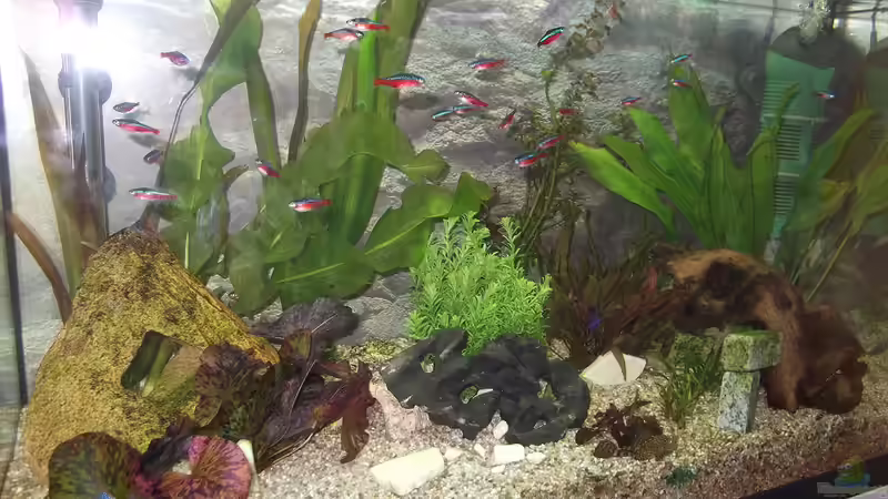 alles auf einen Blick! von adina2503 (6)