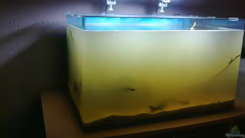 Alles drin und Becken dicht :) Schöne Suppe von Martin Ihde (4)